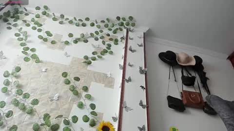     online show from 09-15-25, 02:50