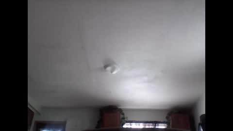 Snapshot of fireprince1977 chatting on 11-29-25, 08:01 Brad online show from 11-29-25, 08:01