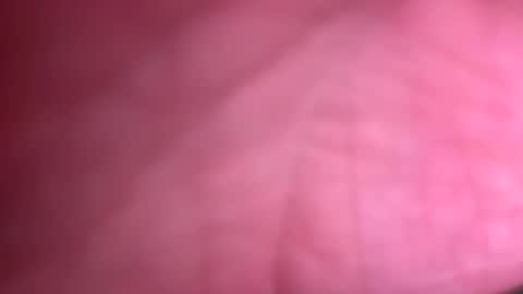 fittallhungdilf online show from 12-20-24, 03:42