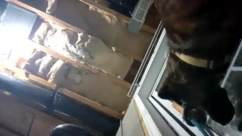 Nate online show from 09-25-25, 02:15