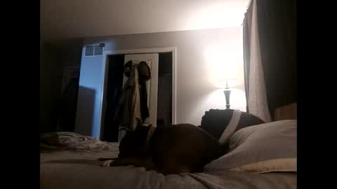 Nate online show from 11-02-25, 04:48