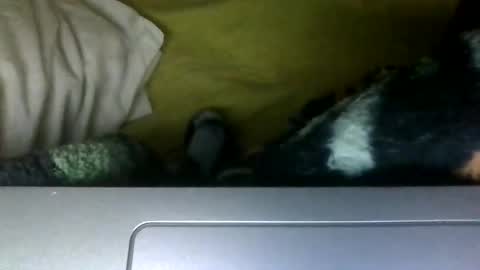 Snapshot of flintstone_mafia chatting on 10-21-25, 01:06  FLINTSTONE MAFIA online show from 10-21-25, 01:06