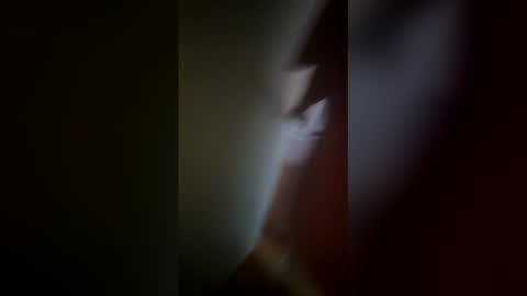 Snapshot of flirtygirlyy chatting on 02-12-26, 08:04 Ive Retired From Camming online show from 02-12-26, 08:04