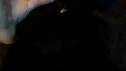 floraexploration online show from 12-23-24, 06:27