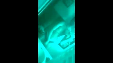 Snapshot of floridaloverboy88 chatting on 09-29-25, 05:29 floridaloverboy88 online show from 09-29-25, 05:29