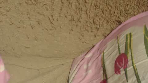 Snapshot of flowercandydoll chatting on 12-09-24, 07:07 say meow and send tip online show from 12-09-24, 07:07