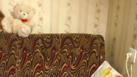 Snapshot of flowercandydoll chatting on 02-27-25, 08:50 say meow and send tip online show from 02-27-25, 08:50