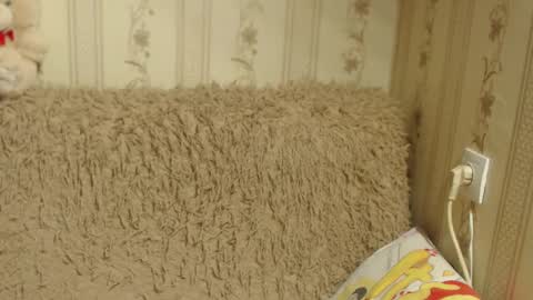 say meow and send tip  online show from 01-17-25, 09:39