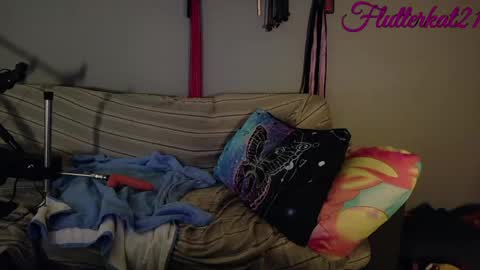 Snapshot of flutterkat21 chatting on 03-12-26, 03:29 FlutterKat online show from 03-12-26, 03:29