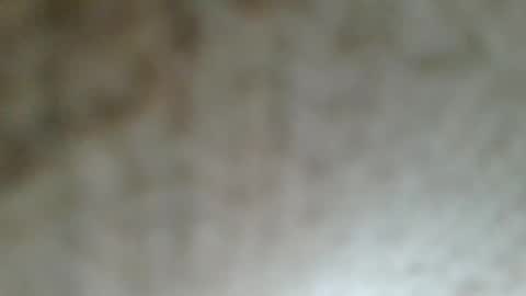 flyn12 online show from 02-21-26, 12:11