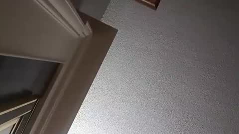 Snapshot of followthewhiterabbittail chatting on 10-02-25, 02:29 Have fun remembering u online show from 10-02-25, 02:29