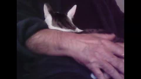 Snapshot of foolmonty chatting on 10-12-25, 12:53 Hooz2no online show from 10-12-25, 12:53