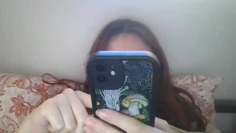 forestpet12 online show from 12-02-25, 11:11