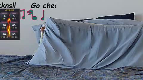 Snapshot of forexxxx_man chatting on 10-27-25, 01:37 doc online show from 10-27-25, 01:37