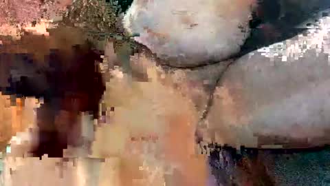 foxhole23 online show from 09-13-25, 10:59