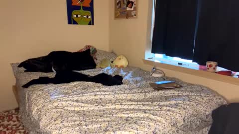 Snapshot of foxyredddd chatting on 01-09-25, 07:18 beautiful blair online show from 01-09-25, 07:18