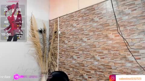          online show from 01-09-25, 03:26