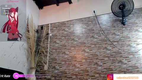          online show from 01-10-25, 03:29