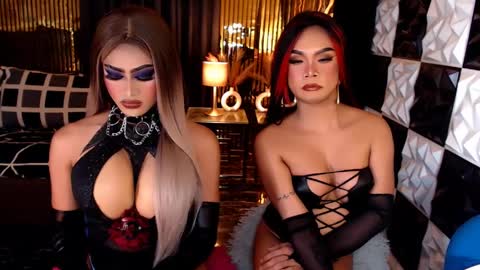 Stella Perkins online show from 04-10-26, 10:03