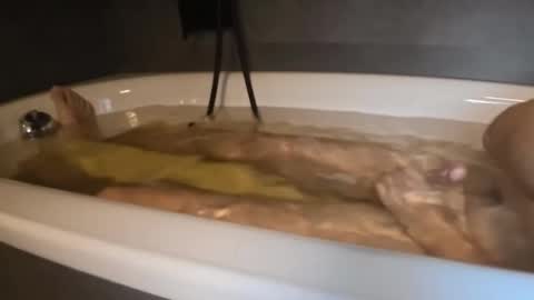 franky84 online show from 02-23-26, 10:01