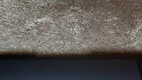 athena online show from 03-31-26, 07:47