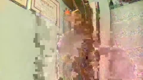 freddy3399 online show from 12-17-24, 02:44