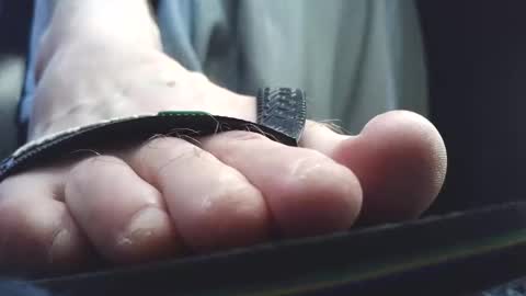 Greedy Fred online show from 03-10-26, 03:06