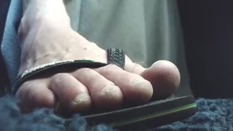 Greedy Fred online show from 04-25-26, 08:39