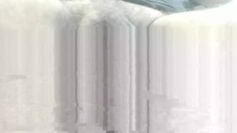 freedomwill2018 online show from 04-27-26, 08:23