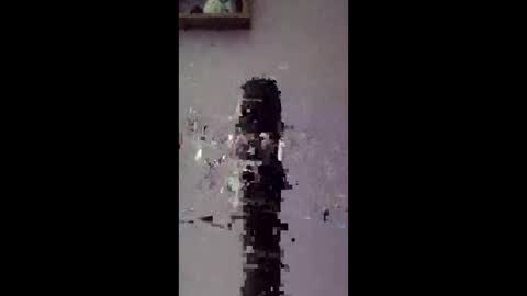 freelingling online show from 01-14-26, 08:42