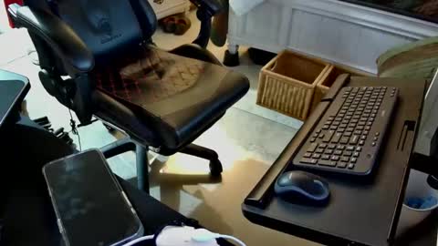 freespirt2 online show from 11-01-25, 03:08