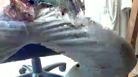 Snapshot of frenchpapalover chatting on 02-28-25, 01:14 frenchpapalover online show from 02-28-25, 01:14