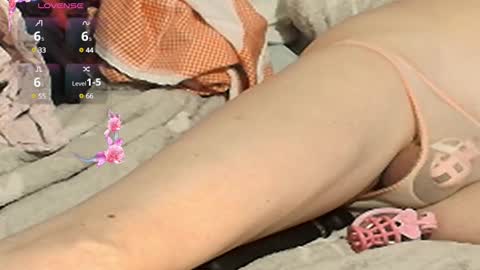 Meadow online show from 02-02-25, 06:53