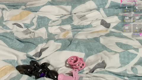 Meadow online show from 02-27-25, 10:26