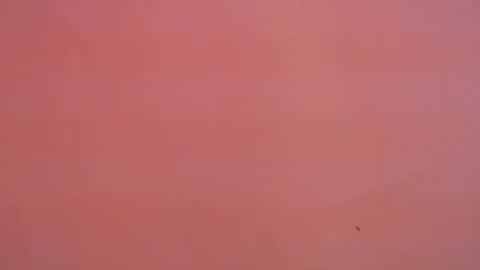 FREYJA LOREN online show from 01-16-25, 11:16