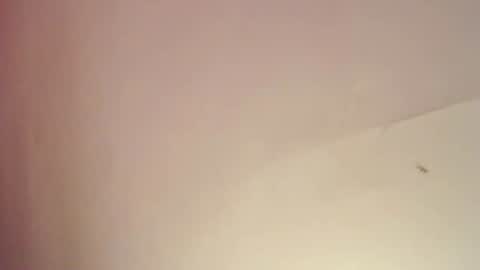 FREYJA LOREN online show from 02-25-25, 08:09