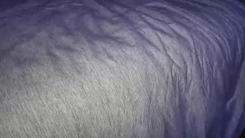 FreyaTheGemini online show from 01-07-25, 03:46