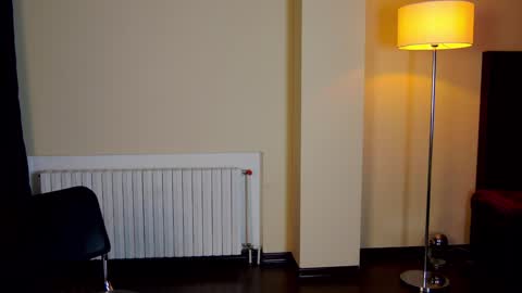 Snapshot of friend123211 chatting on 02-02-25, 03:32 Viktor online show from 02-02-25, 03:32