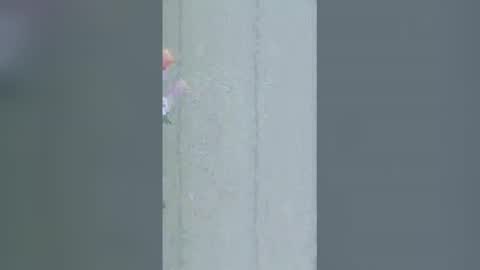 La online show from 03-16-26, 09:24