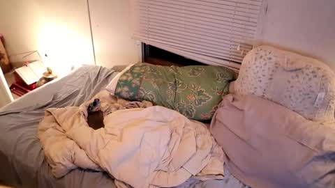 Snapshot of fuckmypussyplz1 chatting on 09-11-25, 02:55 fuckmypussyplz1 online show from 09-11-25, 02:55