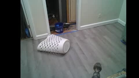 fuckwithmeonetime01 online show from 02-16-26, 10:33