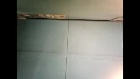 Warwick online show from 12-06-24, 12:02