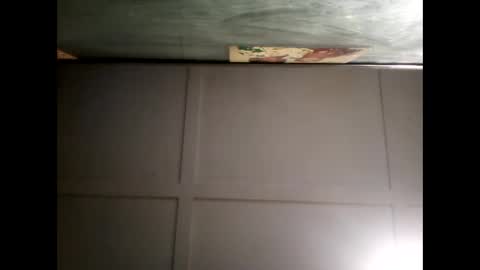 Warwick online show from 12-08-24, 08:30