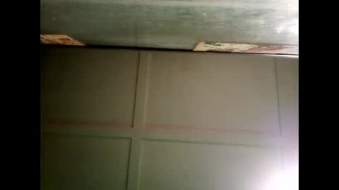 Warwick online show from 12-24-24, 12:00