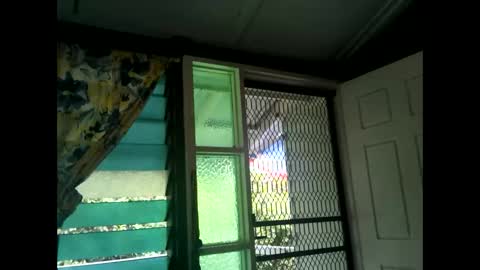 Warwick online show from 02-17-25, 03:25