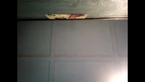 Warwick online show from 02-24-25, 07:33