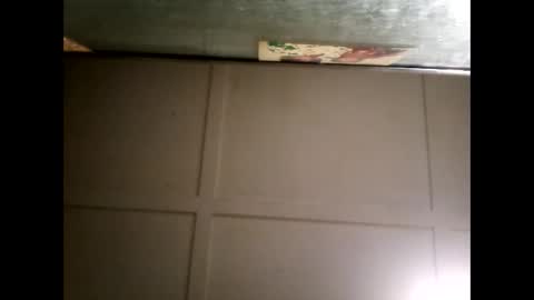 Warwick online show from 03-03-25, 11:22