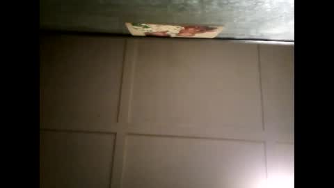 Warwick online show from 03-04-25, 10:35