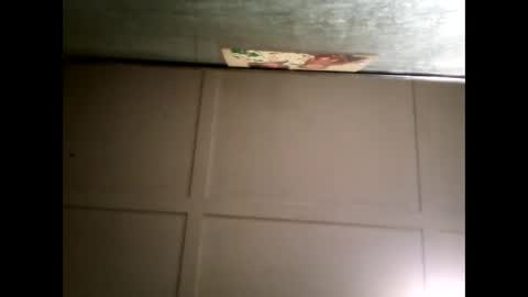 Warwick online show from 03-05-25, 11:49