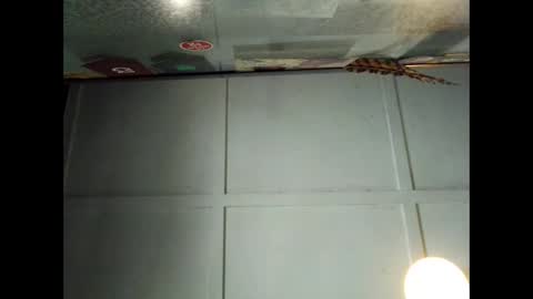 Warwick online show from 09-29-25, 01:00